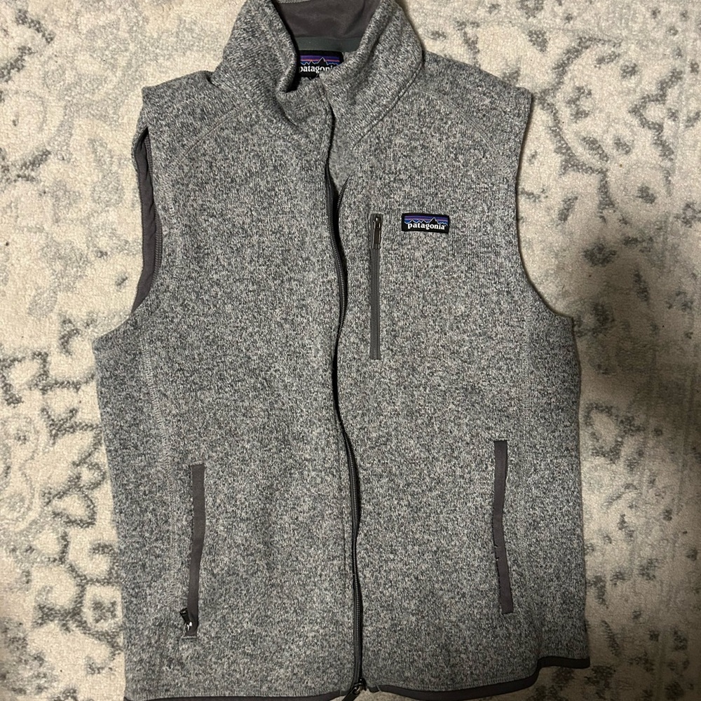 Patagonia gray vest
